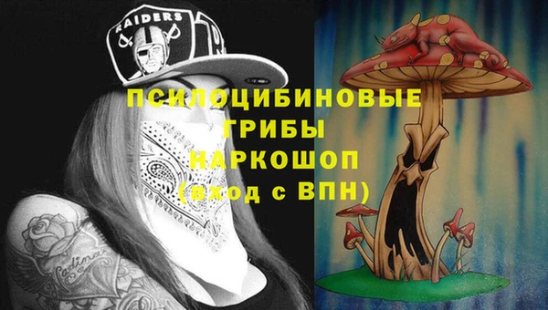 экстази Нязепетровск