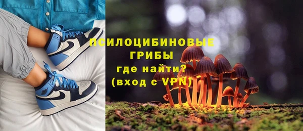экстази Нязепетровск