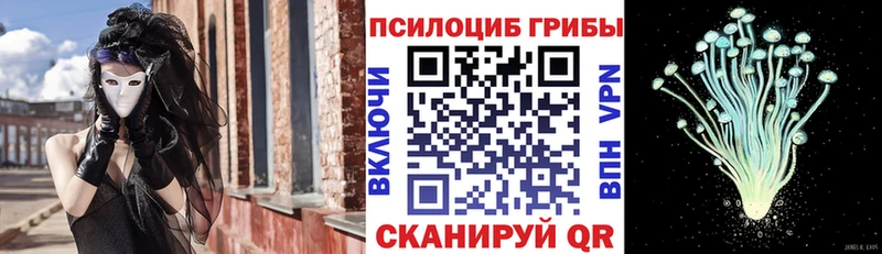 mega как зайти  Кунгур  Псилоцибиновые грибы мухоморы 
