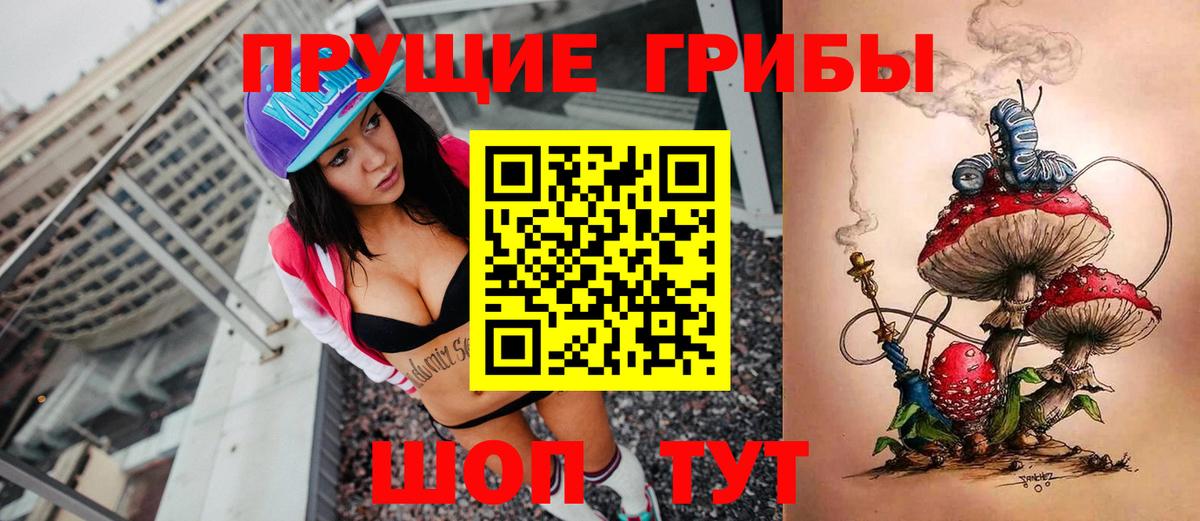 Галлюциногенные грибы Psilocybe  Вход с VPN  Кунгур 